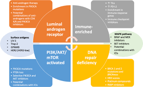 Breast cancer treatment triple negative. Practical Classification Of Triple Negative Breast Cancer Intratumoral Heterogeneity Mechanisms Of Drug Resistance And Novel Therapies Npj Breast Cancer
