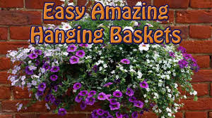 You don't have to worry about time or. Easiest Way To Start Make A Hanging Basket For Amazing Display Youtube