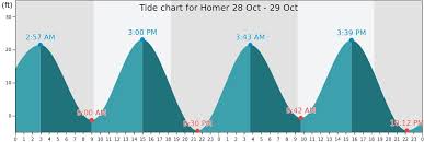 homer tide times tides forecast fishing time and tide