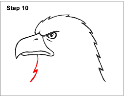 Dari pada berteori mending ikuti saja 10 cara menggambar elang berikut ini. Cara Menggambar Burung Elang Mudah Lengkap Point Opini Penyedia Point Informasi Terkini
