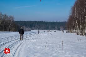 Rezerwat przyrody bór na czerwonem. Trasa Narciarstwa Biegowego W Nowym Targu Bor Na Czerwonem Kasai Podroze W Sieci