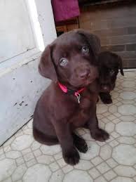 Bert Todd (bertgtodd)