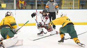 NJ hockey: Morris County league postseason honors