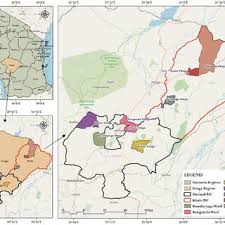 Image result for Cordylostigma longifolium