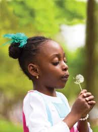 Community LegaL ServiCeS annuaL rePort 2017