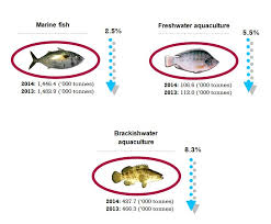Before starting the fish production, the preparation of the pond is a. Department Of Statistics Malaysia Official Portal