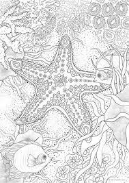 Starfish coloring book for adults vector. Under The Sea Coloring Pages For Adults