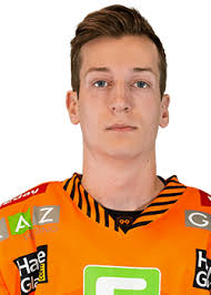 Vienna Capitals Silver