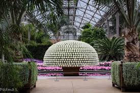 Longwood Gardens Pa Crysanthamum On A Single Stem Longwood Gardens Longwood Gardens Pa Outdoor Art