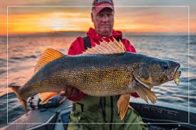 Ice fish up north is your full service ice fishing guide team for all of northern and central wisconsin. Green Bay Wi Fishing Guide Walleye Musky And Smallmouth Bass