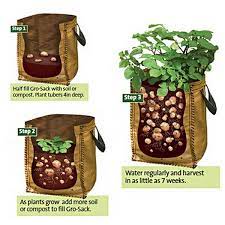 Pe Vegetables Planting Bag Garden Balcony Potatoes Tomatoes Planter Growing Potatoes Growing Vegetables Plants