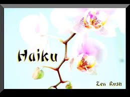 Haiku Poems About Nature Poems In English Poem Video Youtube Haiku Poems Nature Poem Poems In English