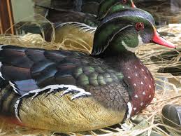 Wood Duck Carving Photo By Frederick Meekins Decoy Carving Wood Ducks Bird Carving