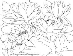 Touch device users, explore by touch or with swipe gestures. Waterlilies Happy Family Art Coloring Book Art Lilies Drawing Flower Coloring Pages