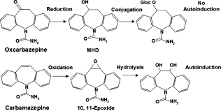 What Is The Evidence That Oxcarbazepine And Carbamazepine Are Distinctly Different Antiepileptic Drugs Epilepsy Behavior