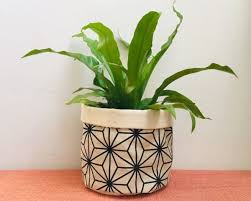 View our full range of indoor & outdoor plants, pots, accessories, care guides & christmas trees. 41 Best Plant Pots And Planters For Indoors And Outdoors