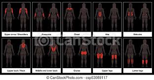 The back is a complex area encompassing a large number of muscles and the lower traps pull the shoulder blades downwards (scapular depression). Muscle Chart Female Body Parts Black Background Muscle Chart Female Body Frontal And Back View With Highlighted Red Canstock