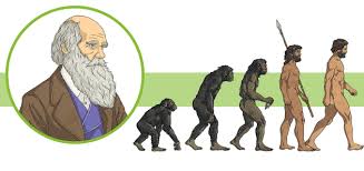 His grandfathers erasmus darwin and josiah wedgwood were both prominent abolitionists.erasmus darwin had praised general concepts of evolution and common. Top 20 Charles Darwin Facts For Kids Twinkl Homework Help