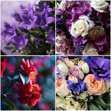 We did not find results for: What The Number Of Flowers In A Bouquet Means
