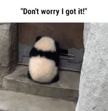 I Got It Funny Pics Funny Gifs Funny Videos Funny Memes Funny Jokes Lol Pics App Is For Ios Android Iphone Cute Baby Animals Funny Animals Cute Animals