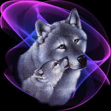 Check spelling or type a new query. Beautiful White Wolf Wolves Photo 38500713 Fanpop