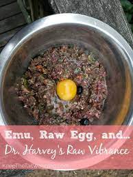 Looking For An Easy Recipe To Feed To Your Dog This Week My Dogs Ate Ground Emu Raw Eggs An Raw Dog Food Recipes Raw Dog Food Diet Easy Raw Dog