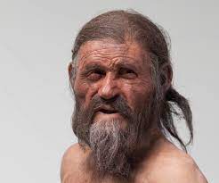 Die ersten meldungen nach dem fund berichteten von einer 500 jahre alten leiche, später waren es 4000 jahre. Kinderzeitmaschine Ç€ Otzi
