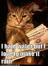 Image result for make it rain gif