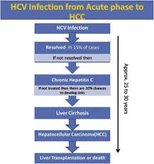 Concise Review On The Insight Of Hepatitis C Sciencedirect
