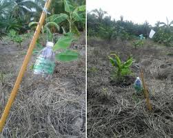 Gel kencing harimau dan semburan kencing harimau digunakan untuk menghalau binatang seperti monyet, kera, musang, tikus, cicak, lipas, tupai, ular, babi hutan, anjing, kambing, lembu, kerbau. Guna 2 Bahan Ini Hasilkan Kencing Harimau Tiruan Harus Cuba Jika Mahu Elakkan Tanaman Diganggu Binatang Liar Keluarga