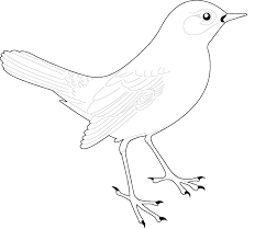 Sep 12, 2016 · color by number printables are so much fun! Birds Pictures For Kids Coloring Home