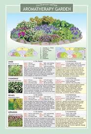 Aromatherapy Garden Plans I Would Love To Create Healing Pots And Gardens Gardenplans Plants Country Garden Landscaping Garden Planning
