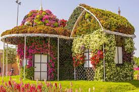 Dubai Miracle Garden Tickets Attractions To The World S Largest Flower Park