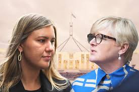 Pilot to give evidence at backpacker death inquest