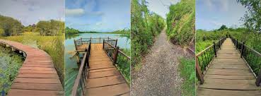 Isimangaliso wetland park, south africa's very first world heritage site since 1999 (unesco), it is also the third largest protected area in south africa. Beddagana Wetland Park Parks In Colombo Ceylon Pages