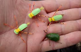 La ciudad de san juan se encuentra en un encantador y fértil oasis rodeado de cordones montañosos. San Juan Beetle El Escarabajo Verde Para Truchas Cebadas Www Lavaguada Cl Region De Los Rios Chile Ricardo Ordonez D