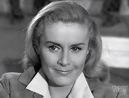 Stoney Burke" To Catch the Kaiser (TV Episode 1963)