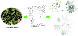 Biodata joy revfa sofia : Two Novel Oxetane Containing Lignans And A New Megastigmane From Paronychia Arabica And In Silico Analysis Of Them As Prospective Sars Cov 2 Inhibitors Rsc Advances Rsc Publishing
