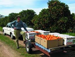 Enjoy free next day delivery when you spend £35 or more online and add party food to your basket now. Infectious Enthusiasm Larger Than Life That Laugh That Smile In Loving Memory Of Richard G H Dick Cotton 2016 Human Mutation Wiley Online Library