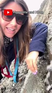 @kingm159287035's video Tweet