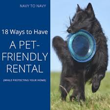 If you sneak your pets into your unit, you get to skip out on the fee! 18 Ways To Have A Pet Friendly Rental While Protecting Your Home