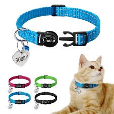 Kedi Tasmali Kunyeli Reflective Kedi Kediler Ve Yavrulari Kopek
