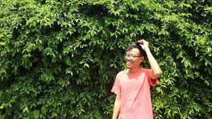 Aku minta maaf karena telah membuang bungkusan itu. Bantu Uang Kuliah Farhan