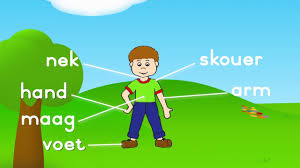 Grade 1 Afrikaans Fal Liggaam Body Youtube
