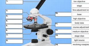 Parts Of A Compound Microscope Learning In Hand With Tony Vincent Languages Online Microscopic Foreign Languages
