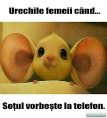 Imagini Amuzante 2017 Poze Haioase 2017 Bancuri Ok 2017 Bancuri Funny Memes Love Memes For Him Love Memes
