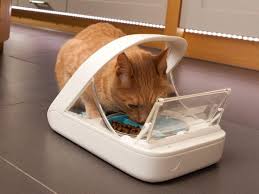 10% coupon applied at checkout save 10% with coupon. The Best Automatic Pet Feeders In 2019