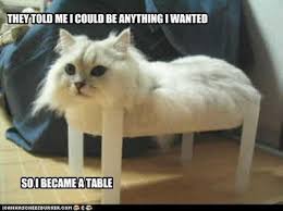 They Said I Could Be Anything I Wanted So I Became A Table Bones Funny Funny Pictures Funny Meme Pictures