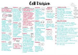 12 Levels Of Biological Organization From Smallest To Largest A Level Biology Notes Year 1 A Level Biology Biology Notes Science Notes