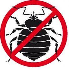 Trusted lexington, ky pest control pros. State Standard Pest Control Home Facebook